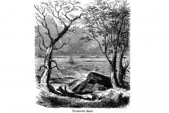 gravure van Plymouth Rock