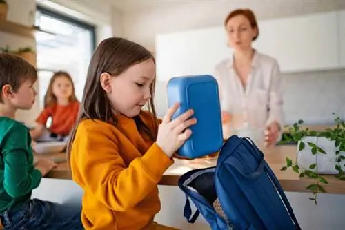 Más de 30 refrigerios saludables para el regreso a clases que harán felices a los niños