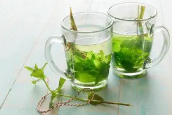 thé à la menthe fraîche pour un bien-être apaisant et anti-anxiété