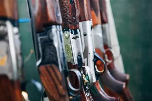 Guide til antikke Winchester-rifler med ekspert LeRoy Merz