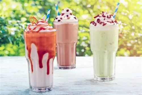 Boozy milkshakerecepten voor volwassenen voor meer dan 20 ongelooflijke smaken