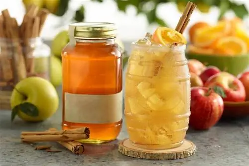 Domača jabolčna pita Everclear Moonshine (+ ideje za koktajle)
