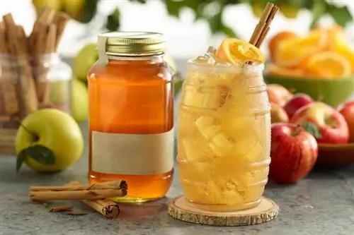 Tuisgemaakte Appeltert Everclear Moonshine (+ Cocktail Idees)