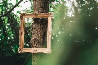 Low-Angle-Ansicht Des Hängenden Rahmens Am Baum
