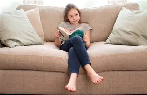 Panoramica della serie di libri di Junie B. Jones