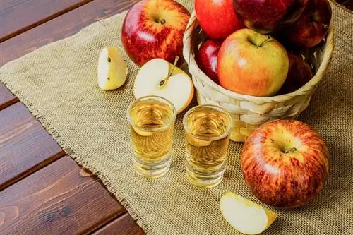7 æbletærteskydere, der er farligt lækre