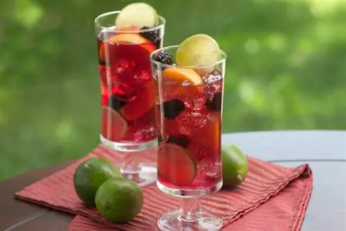 Fresh Berry Smash Cocktail