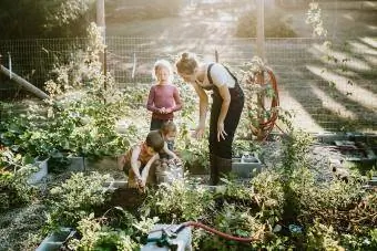 Familie høster grønnsaker fra hagen på Small Home Farm