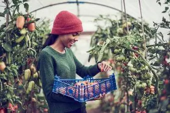 Sieviete, kas vāc vīnogulāju tomātus no kopienas piešķīruma