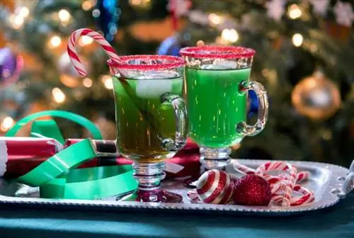 Rojdestvo ruhini his qilish uchun Boozy Grinch Punch