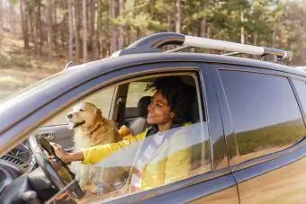 Kvinna som kör sin bil med hund på hösten