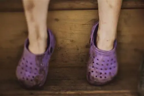 Ямар ч төрлийн Crocs-ийг хэрхэн цэвэрлэх вэ (Хялбар бөгөөд гэмтэлгүй)