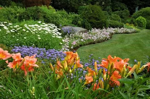 10 pragtige meerjarige plante wat die hele somer lank blom