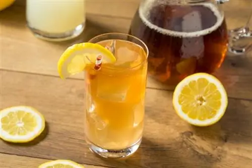9 receitas de bebidas de Arnold Palmer que estão acima da média