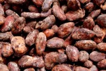 Kakao bønner