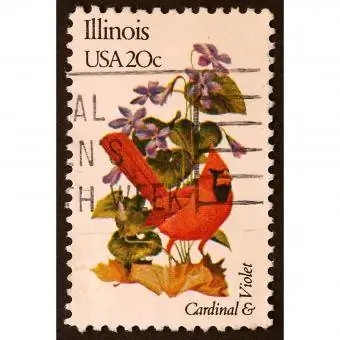 Illinois nordlige kardinal