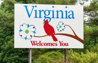 Virginia Kuzey Kardinal