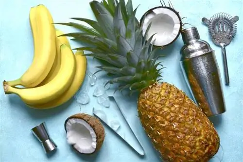 16 įvairių 99 bananų gėrimų receptų