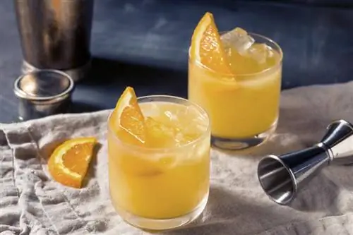 007 Drink Recipe (με χυμό πορτοκάλι, βότκα πορτοκάλι και 7 επάνω)