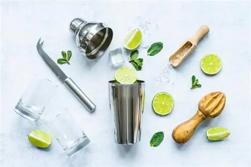 22 Cocktails au citron vert à base de gin, whisky, rhum et vodka