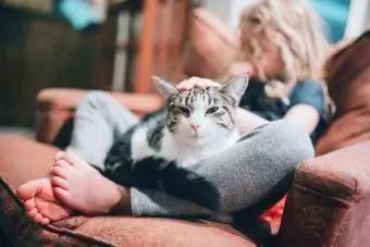 Gato descansando no colo de uma menina na poltrona