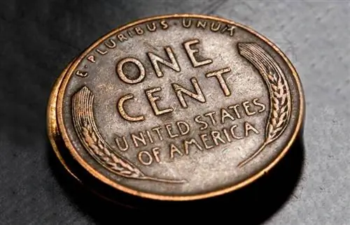 Come trovare il valore dei vecchi penny: suggerimenti per la valutazione