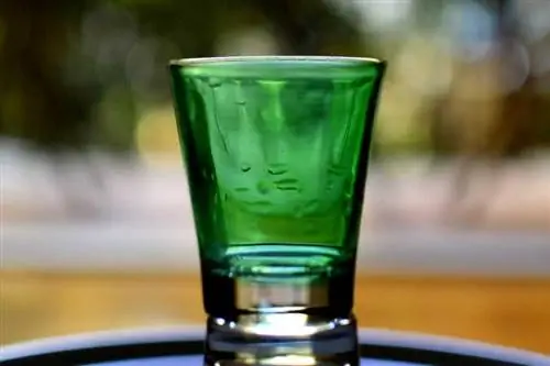 Scooby Snack Shot va Guruh bilan ichish uchun kokteyllar