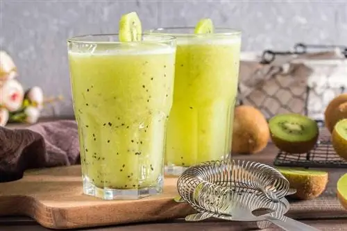 12 kiwi koktejlů, které vás toto léto zchladí