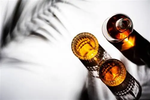 Kateri prigrizki se dobro podajo k rumu? 20+ okusnih kombinacij