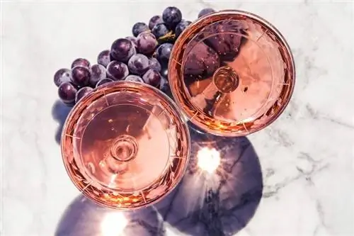 14 Boozy Grape Drink Resepte vir die somer