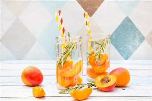 12 chutných receptů na meruňkový koktejl