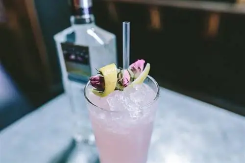 Công thức nấu rượu Gin thực vật và ý tưởng cocktail