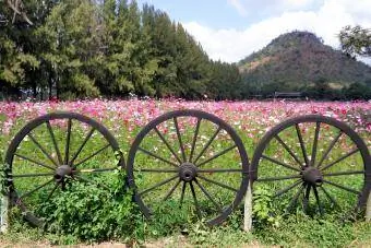 Natatanging Wooden Wheel Fence