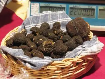 Trufas negras italianas