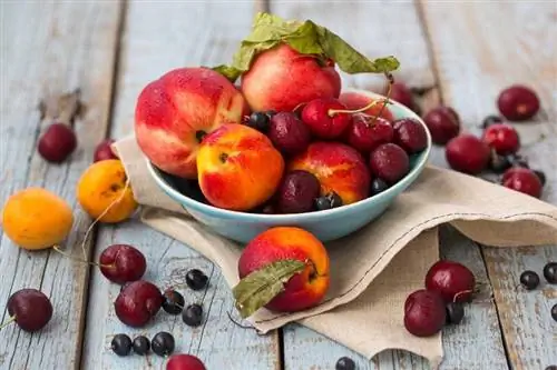 كيفية إضافة الجين إلى الفاكهة: 10 نكهات لذيذة