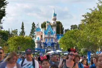 Casta Frumoasei Adormite la Disneyland