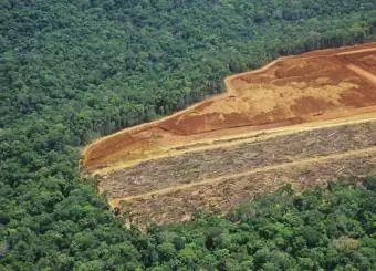Deforestasi di Amazon