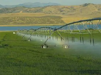 Culturi irigate într-o fermă din Utah