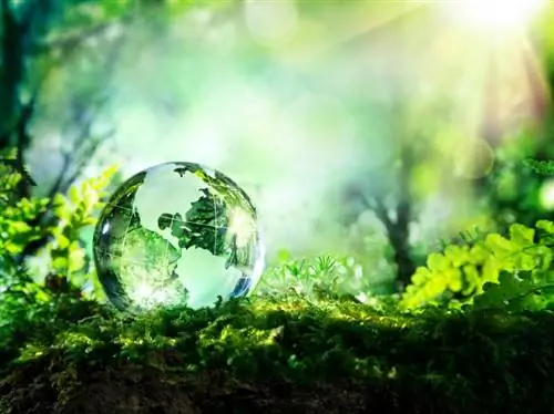Daftar 30 Masalah Lingkungan Teratas