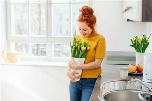 Kako složiti i njegovati tulipane u vazi