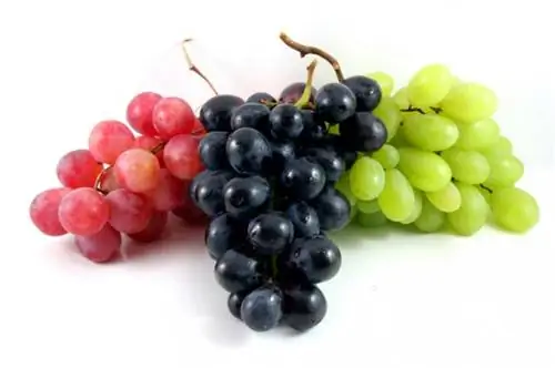 20 feite wat jy waarskynlik nie van druiwe weet nie