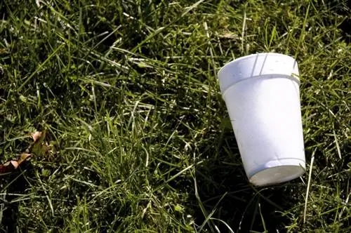 Keburukan Styrofoam untuk Alam Sekitar