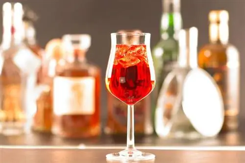 10 lihtsat Aperoli kokteili (peale Spritzi)