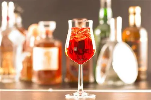 10 lengvų „Aperol“kokteilių (už „Spritz“)