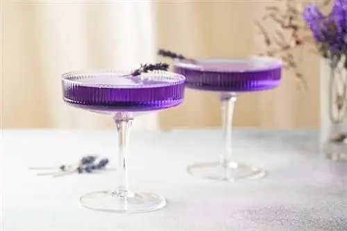 11 Công thức Cocktail Cocktail Hoàng hậu Thanh lịch