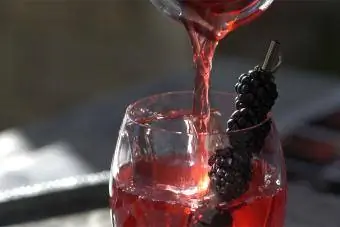 cocktail de cerb violet