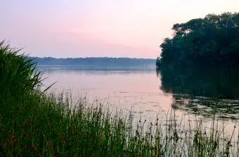 ओहायो के विलमिंगटन में कोवान झील की शांत झील पर सुबह का कोहरा