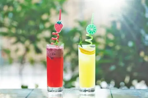 25 պարզ ըմպելիքների բաղադրատոմսեր