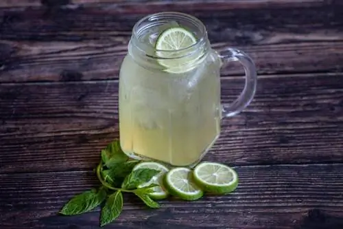Redneck Margarita Recept za ležernu zabavu uz piće