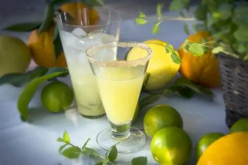 Key Lime Pie Martini jälkiruokavaikutteiseksi juomaksi